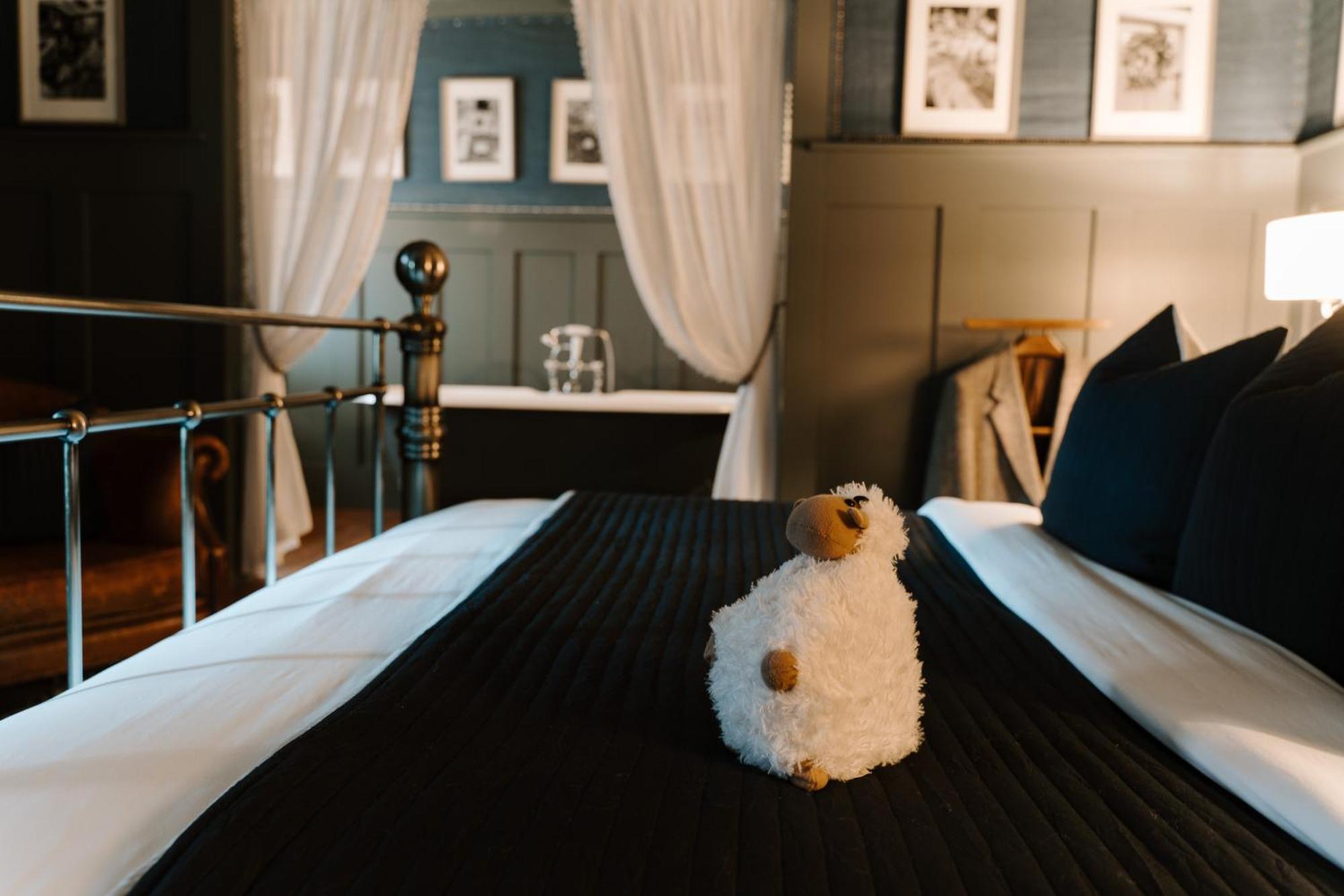 Sheddington Manor - 2 Bedroom Guest House & Cinema Belfast Ngoại thất bức ảnh